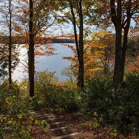 Cowan Lake State Park -min